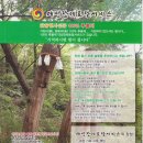 대성장례토탈