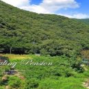 김해장유힐링펜션민박 이미지