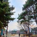 풍납토성경당지구근린공원 이미지