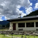 청길강변로 | 초록초록한 감성의 그림같은 카페 무주 윌로우파크커피 솔직후기