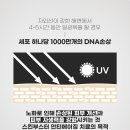 미라젯 리쥬란 모든 피부 고민을 통증 없이 해결해요