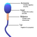 수비뇨의학과의원 이미지