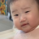 이마트 둔산점 티스토리