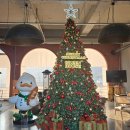 동읍213 | 창원 동읍 대형 베이커리 카페 그리니 포토존이 있는 그린하우스 주남점