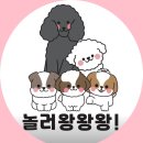 놀러왕왕왕 이미지