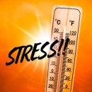 서면의숲 이미지