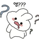 이선생 왕코다리 이미지