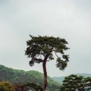 하늘물빛정원 이미지