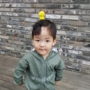 뽀끼타운 이미지