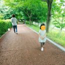 탕정로 이미지