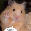 휘닉스 모텔 네이버블로그