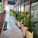 수완골프아카데미 | 광주 골프레슨 수완지구 수완골프아카데미 초보자 레슨받은 후기 ~