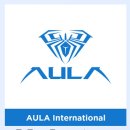 Hot Dog PC | 독거미 키보드 F99 타건 / 황축 / 단축키 후기