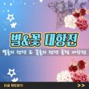 별들의전쟁 이미지