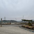 오리앤오리 | 전남 장흥 맛집 오리앤오리 _ 장흥 우드랜드 맛집 / 오리주물럭