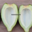 성숙농장 이미지