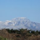 제주도 승마교육도 가능한 체험장 sc홀스파크 승마장에서사온 마유크림도 맘에들어요. 이미지