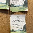 3박 4일 제주도 여행 ③ | 평대해변, 제주냥이, 쿠쿤, 카키테아노, 티피, 사가냥