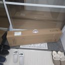 시노링크 신상품 C4DS 오토스윙 스탠딩 드라이기 솔직후기