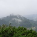 공주생명과학고 제2농장 티스토리