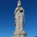 팔도강산 본점 이미지