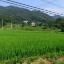 수원비행장공인중개사사무소 이미지