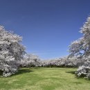 수양-0005 네이버블로그