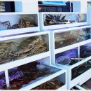 명가횟집 이미지