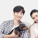사회적협동조합행복한세상 네이버블로그