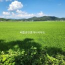 순천부동산공인중개사사무소 이미지