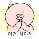 카페홀빈 이미지