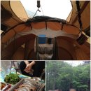 캠프리카 이미지