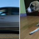 기다리다 이미지