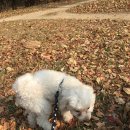 뭉 - 서구 | 뭉