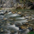 경인렌트카 이미지