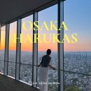 십리포 서쪽 공중화장실 | 오사카 가볼만한곳 하루카스 300 전망대 노을 야경 명소 여행 코스