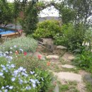 자라는 씨앗 이미지