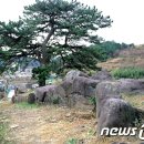 유포석보 이미지