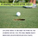 로얄골프 아카데미 이미지