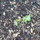 만기2농장 이미지