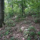 불당14로 이미지