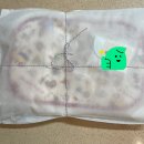 그냥후기) 핸드메이드 테이블매트 및 카드지갑 후기 (연블리메이드)