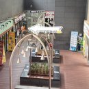 하남돼지집 | 가산디지털단지역 고기집 하남돼지집 방문후기 넓고 깔끔한 가산동삼겹살