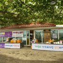 엄마사랑농원 이미지