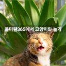 광주율마원365 이미지