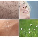 하범석피부과의원 | 피부, 비건으로 깨끗하게! 꿀피부 3단계 클렌징 비법