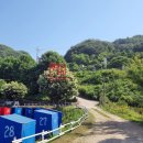 추곡터널낚시터 이미지