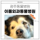 이룸외과동물병원 이미지