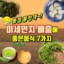 봄철 불청객! '미세먼지 배출'에 좋은 음식 7가지 이미지