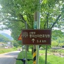 풍년 Daum카페